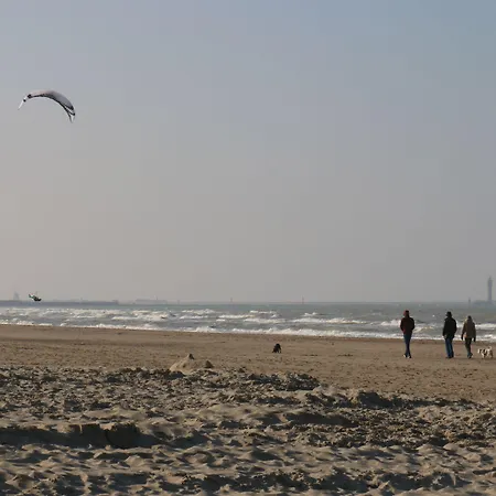 فندق Le Transat Bleu 2*