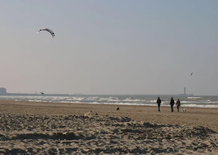 فندق Le Transat Bleu 2*