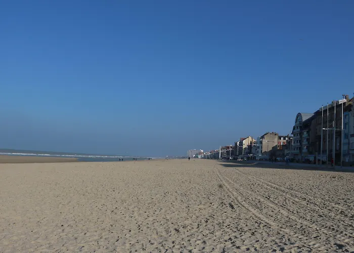 Le Transat Bleu Dunkirk